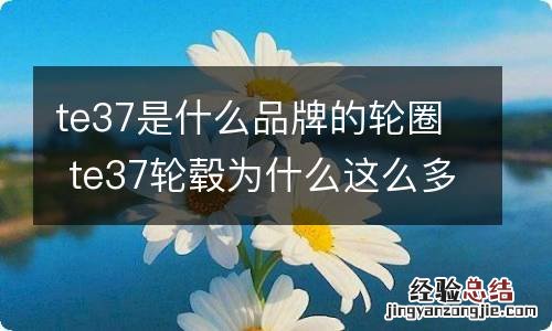 te37是什么品牌的轮圈 te37轮毂为什么这么多人用