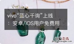 vivo“蓝心千询”上线：安卓/iOS用户免费用