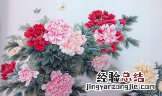 青花牡丹的寓意是什么 牡丹的寓意是什么