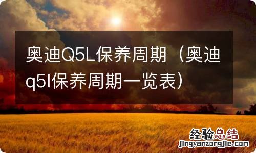奥迪q5l保养周期一览表 奥迪Q5L保养周期