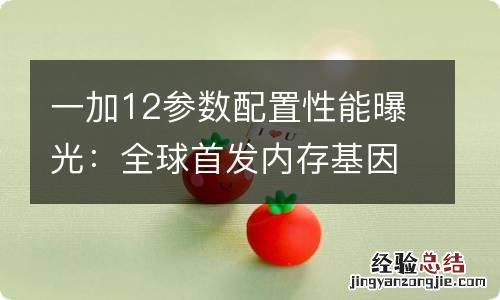 一加12参数配置性能曝光：全球首发内存基因重组2.0