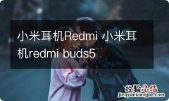 小米耳机Redmi 小米耳机redmi buds5