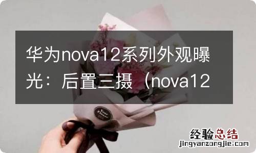 nova128 华为nova12系列外观曝光：后置三摄