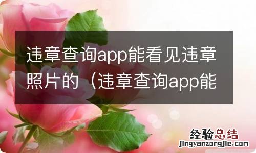 违章查询app能看见违章照片的信息吗 违章查询app能看见违章照片的