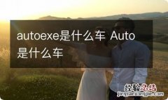 autoexe是什么车 Auto是什么车