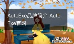 AutoExe品牌简介 AutoExe官网