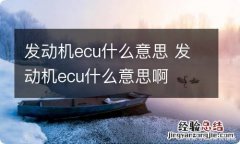 发动机ecu什么意思 发动机ecu什么意思啊