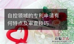 自控领域的专利申请有何特点及审查技巧