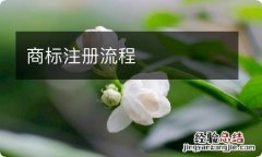 商标注册流程