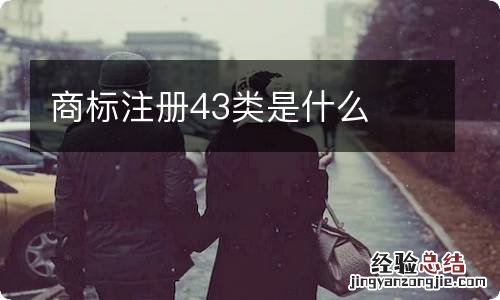 商标注册43类是什么