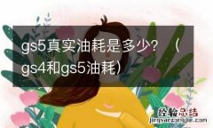 gs4和gs5油耗 gs5真实油耗是多少？