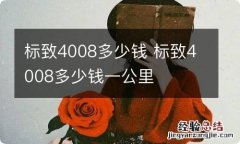 标致4008多少钱 标致4008多少钱一公里