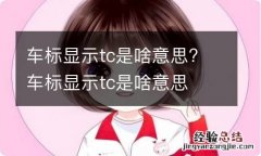 车标显示tc是啥意思? 车标显示tc是啥意思