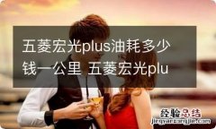 五菱宏光plus油耗多少钱一公里 五菱宏光plus1.5t油耗多少钱一公里