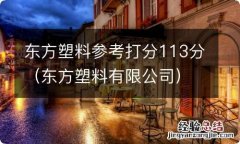 东方塑料有限公司 东方塑料参考打分113分