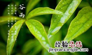 今日雨水的优美文案大全 今日雨水的优美文案大全简短