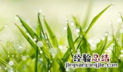 雨水文案 雨水文案短句