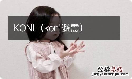 koni避震 KONI
