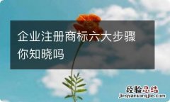 企业注册商标六大步骤你知晓吗