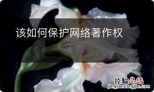 该如何保护网络著作权