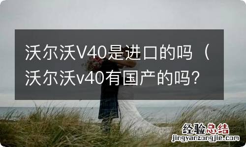 沃尔沃v40有国产的吗? 沃尔沃V40是进口的吗