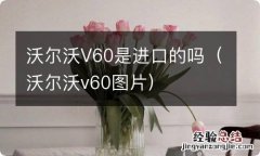 沃尔沃v60图片 沃尔沃V60是进口的吗