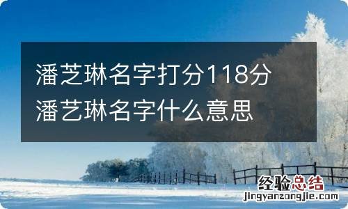 潘芝琳名字打分118分 潘艺琳名字什么意思