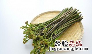 新鲜蕨菜为什么要泡水呢视频 新鲜蕨菜为什么要泡水呢