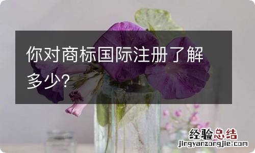 你对商标国际注册了解多少？