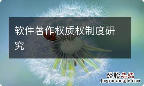 软件著作权质权制度研究