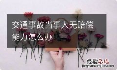 交通事故当事人无赔偿能力怎么办