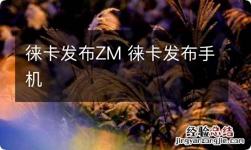 徕卡发布ZM 徕卡发布手机