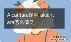 Alcantara保养 alcantara怎么清洗