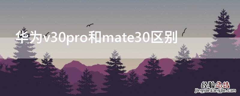 华为mate30pro和华为荣耀v30pro区别 华为v30pro和mate30区别