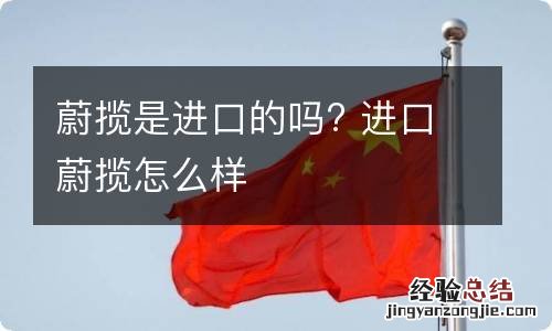 蔚揽是进口的吗? 进口蔚揽怎么样