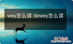 wey怎么读 dewey怎么读