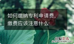 如何缴纳专利申请费，缴费应该注意什么