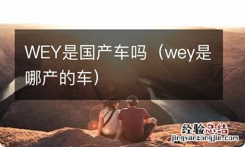 wey是哪产的车 WEY是国产车吗