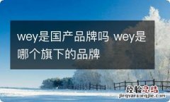 wey是国产品牌吗 wey是哪个旗下的品牌