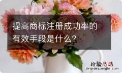 提高商标注册成功率的有效手段是什么？