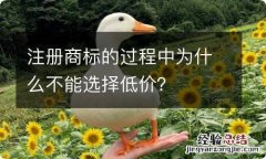 注册商标的过程中为什么不能选择低价？