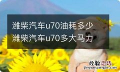 潍柴汽车u70油耗多少 潍柴汽车u70多大马力