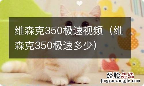 维森克350极速多少 维森克350极速视频