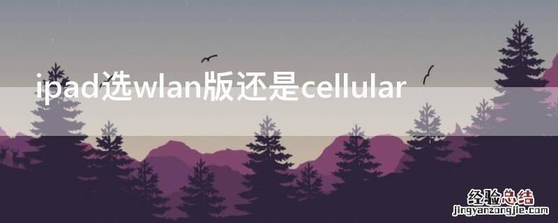 ipad选wlan版还是cellular