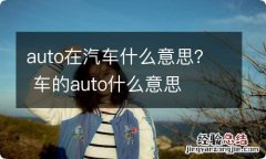 auto在汽车什么意思？ 车的auto什么意思