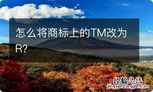 怎么将商标上的TM改为R?