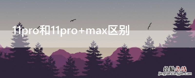 11pro和11pro max区别 11pro和11pro