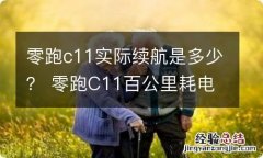 零跑c11实际续航是多少？ 零跑C11百公里耗电多少