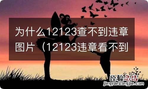 12123违章看不到图片 为什么12123查不到违章图片