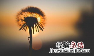 伤感话语句子经典语录图片 伤感话语句子经典语录